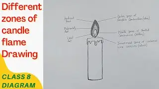 How to Draw Different zones of candle flame Class 8 diagram