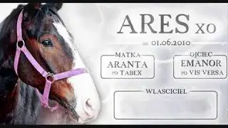 Ares2010