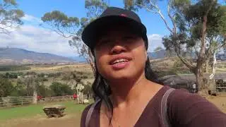 Boronong wildlife sanctuary