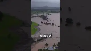 Unbelievable Footage: 🌧️ NSW&rsquo;s Historic 1-in-500-Year Flood Event #floods #nsw #news #weather