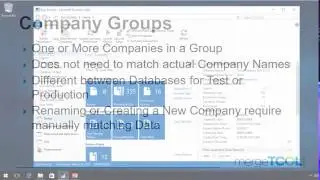 Company Groups