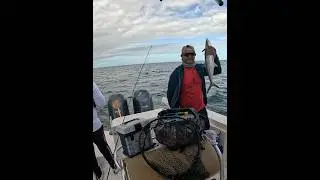 Activao con la mackerel #fishing #pesca #mackerelfishing #marathon #mackerel #parati