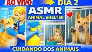 🔴 AO VIVO | ASMR Animal Shelter 🐾 Dia 2 &ndash; Cuidando dos Animais + Sons Relaxantes