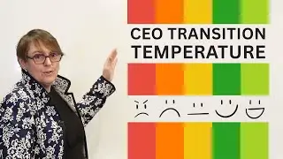 How CEO Transitions Really Feel (for Boards & Staff)