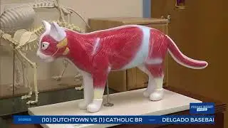 Veterinary Technology Program, Feb. 2022