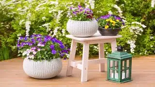 Simple Front Yard Landscaping Ideas Low Maintenance