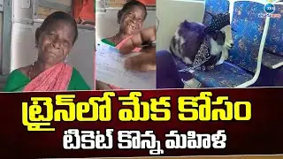 Women Buys Train Ticket For Goat | ట్రైన్ లో మేకకోసం టికెట్ కొన్న మహిళ | ZEE Telugu News