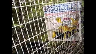 04-10-13 - Medway Valley Walk - Day 2 of 2