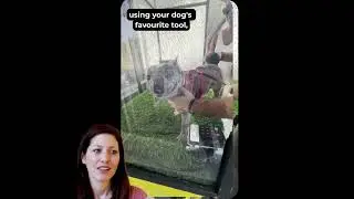 how to use Petscrub