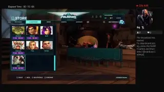 Paladins (Overwatch Rip-off)
