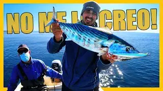 &iexcl;NO CREER&Aacute;S c&oacute;mo pescamos este BONITO ENORME! 🙏 - Jurel Ramon #61