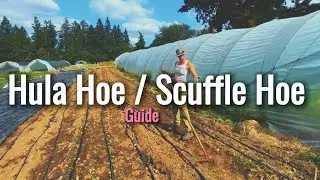 Why And How I Use The Hula Hoe  (Or Scuffle Hoe/Stirrup Hoe)