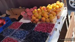 #367 ЦЕНЫ НА ЯГОДУ В АНАПЕ.НАВОДИМ РЕВИЗИЮ В ПОГРЕБЕ .НАЧАЛО ПОЛОЖЕНО, СТРОИМ НОВЫЙ КРУТОЙ ПТИЧНИК.🐔