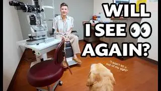 A Cure for Paul's Blindness?