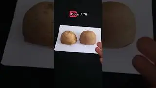 Stempel dari Kentang  || Seni Rupa kelas 4 SD