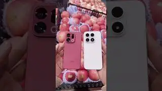 Xiaomi 17 vs OPPO Find X9 Camera Comparison: Leica vs Hasselblad &ndash; Which Image Tone Do You Prefer?