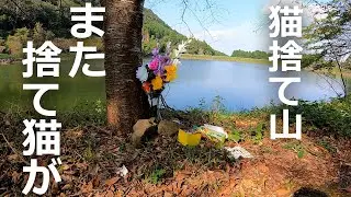 【捨て猫山】また捨て猫が!何匹も何匹も後を絶たない&hellip;