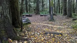 Blowout Creek camp 1