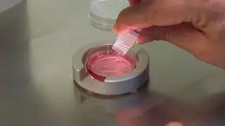 Thawing Closed System - The Cryotop Method