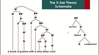 The X Bar Theory