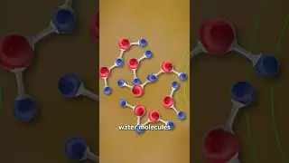 Can A Microwave Heat Up A Plate? 🤔