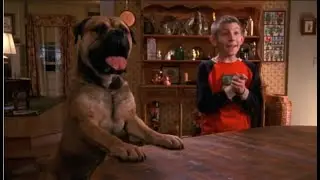 Malcolm Mittendrin Staffel 3 - Deweys Hund 3