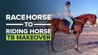 THOROUGHBRED MAKEOVER AUSTRALIA | RETIRED RACEHORSE PROJECT