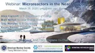 Microreactors in the Near Horizon: Innovative Solutions for Clean Energy Systems