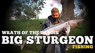 Fishing for BIG Sturgeon (Meath offering altar), Wrath of the Druids