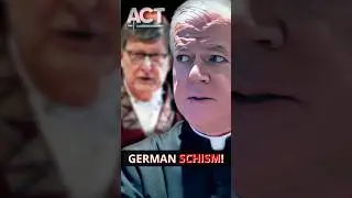 🔥Fr. Gerald Murray Calls Out Vatican Inaction on German Schism #catholichurch #bishop