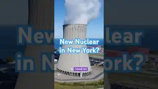 New Nuclear in New York? #nuclearenergy #nuclearpower #nuclearpowerplant #newyork