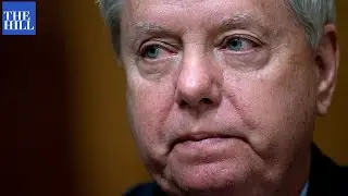 Lindsey Graham describes his FAILED 2016 presidential campaign