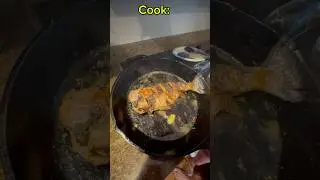 Rainbow trout Catch Clean Cook