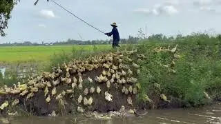 Full Video 3 Days 