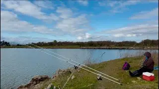 29.01.25 Обновление Striper в двух местах. Во-первых, Dotson Family Marsh. Во-вторых, Berkeley Ma...
