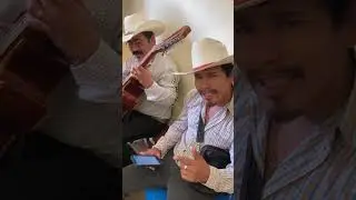 15 de diciembre de 2025