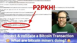 Dissecting a P2PKH Bitcoin Transaction down to the last Byte