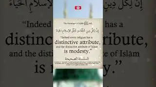 Attribute of Islam is Modesty #hadith #merciful #subhanallah #deenwithin  #yarasoolallahﷺ #yaallahﷻ