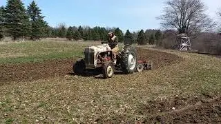 1948 Ford 8N with 6-Foot Disk Harrow