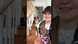 Schaut unbedingt bis zum Ende!🥹wie s&uuml;&szlig; kann man sein? #doglove #animallove