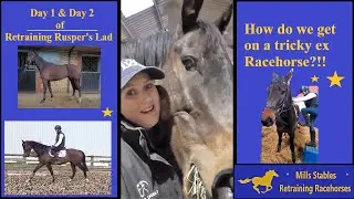How do we get on a tricky ex Racehorse?!!