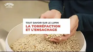 Tout savoir sur le Lupin - La torr&eacute;faction et l'ensachage