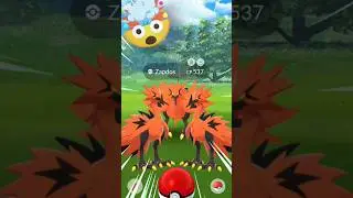 Omg!! 🤤Finally I wild ✨Galarian Zapdos in pokemon go #pokemongo #soparstart #pokemon