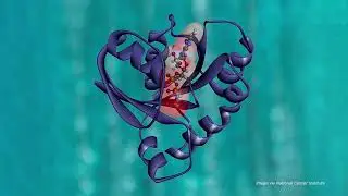 AACR Stories: The AACR Cancer Progress Report 2021