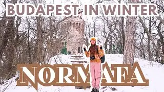 What to do in BUDAPEST when It SNOWS? ❄️ a local's winter vlog at Normafa, Budapest