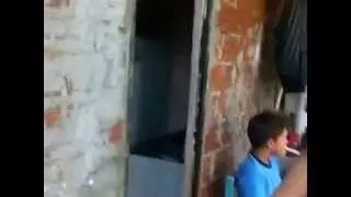 bebada danssando