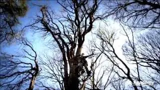 Academy Sports + Outdoors Hunting & Fishing Commercial