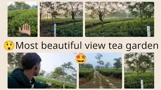 Chai Bagan Mein Guzara Hua Lamha - A Nostalgic Journey #teagarden #chaibagan #morningvlog