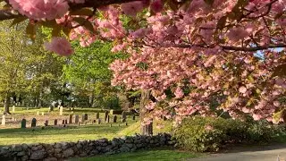 Town of Wenham, MA - 2020 Memorial Day Full Length Video