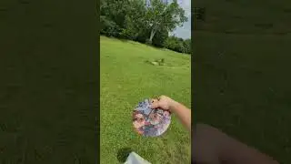 Flip to flat and let it ride #ultimatefrisbee #dancegenre #golf #fun #instrumentaldance #football
